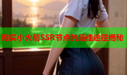 购买小火箭SSR节点的最佳途径揭秘