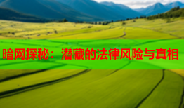 暗网探秘：潜藏的法律风险与真相