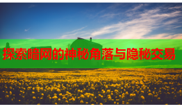 探索暗网的神秘角落与隐秘交易