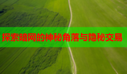 探索暗网的神秘角落与隐秘交易