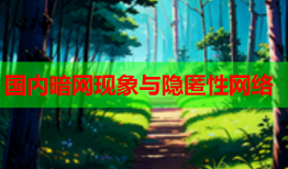 国内暗网现象与隐匿性网络
