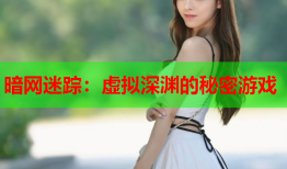暗网迷踪：虚拟深渊的秘密游戏