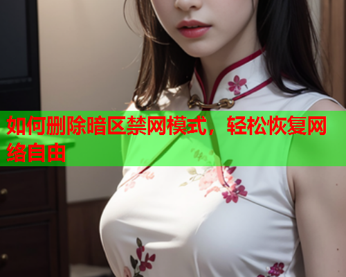 如何删除暗区禁网模式，轻松恢复网络自由