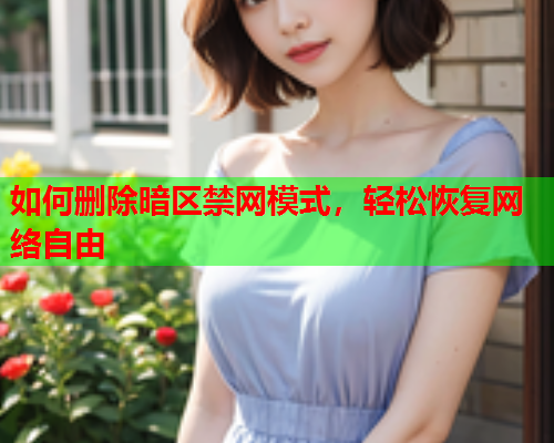 如何删除暗区禁网模式，轻松恢复网络自由