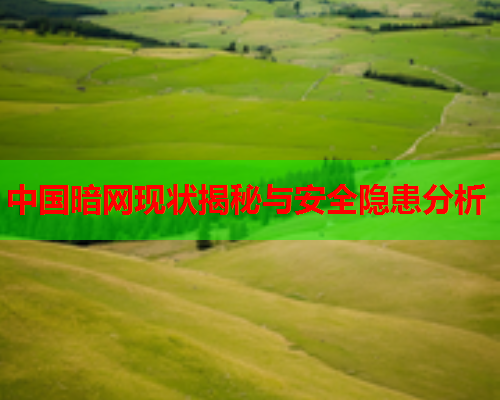 中国暗网现状揭秘与安全隐患分析