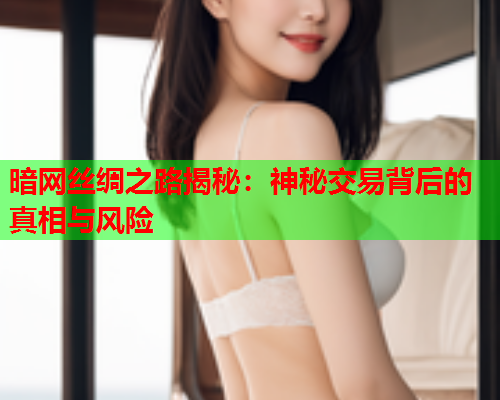 暗网丝绸之路揭秘：神秘交易背后的真相与风险