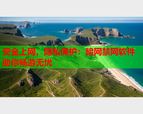 安全上网，隐私保护：暗网禁网软件助你畅游无忧